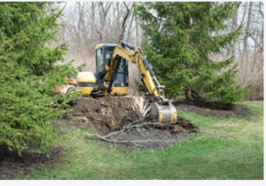 Stump Removal Adelaide