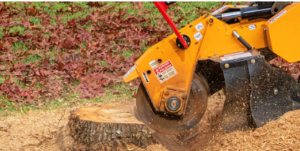 BlackStumpTreeServices stump removal Adelaide Hills
