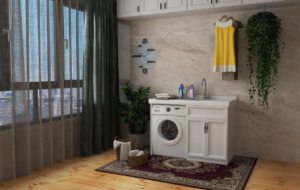 Perth washing machines

