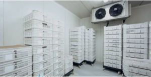 industrial refrigeration