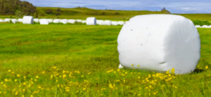 silage plastic