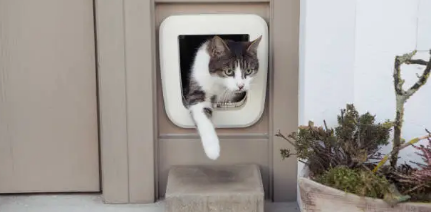 pet doors Adelaide